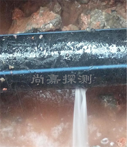 西固消防管道漏点探测