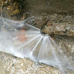 西固自来水管道漏点检测